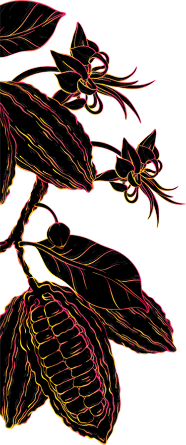 bayani-about-left-image-w375px