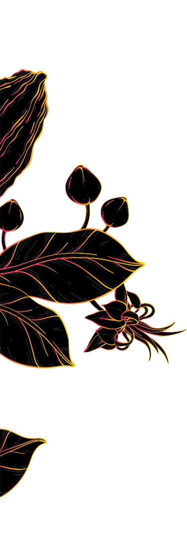 classic-left-image-w375px